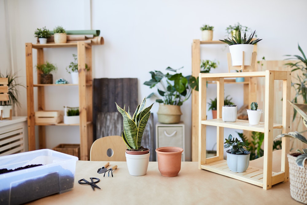 Comment un jardin bien entretenu peut augmenter la valeur de votre maison